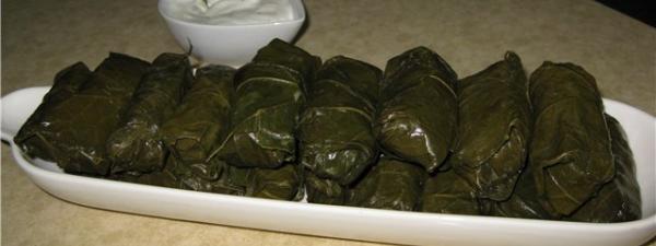 Tolma Weintrauben Blätter